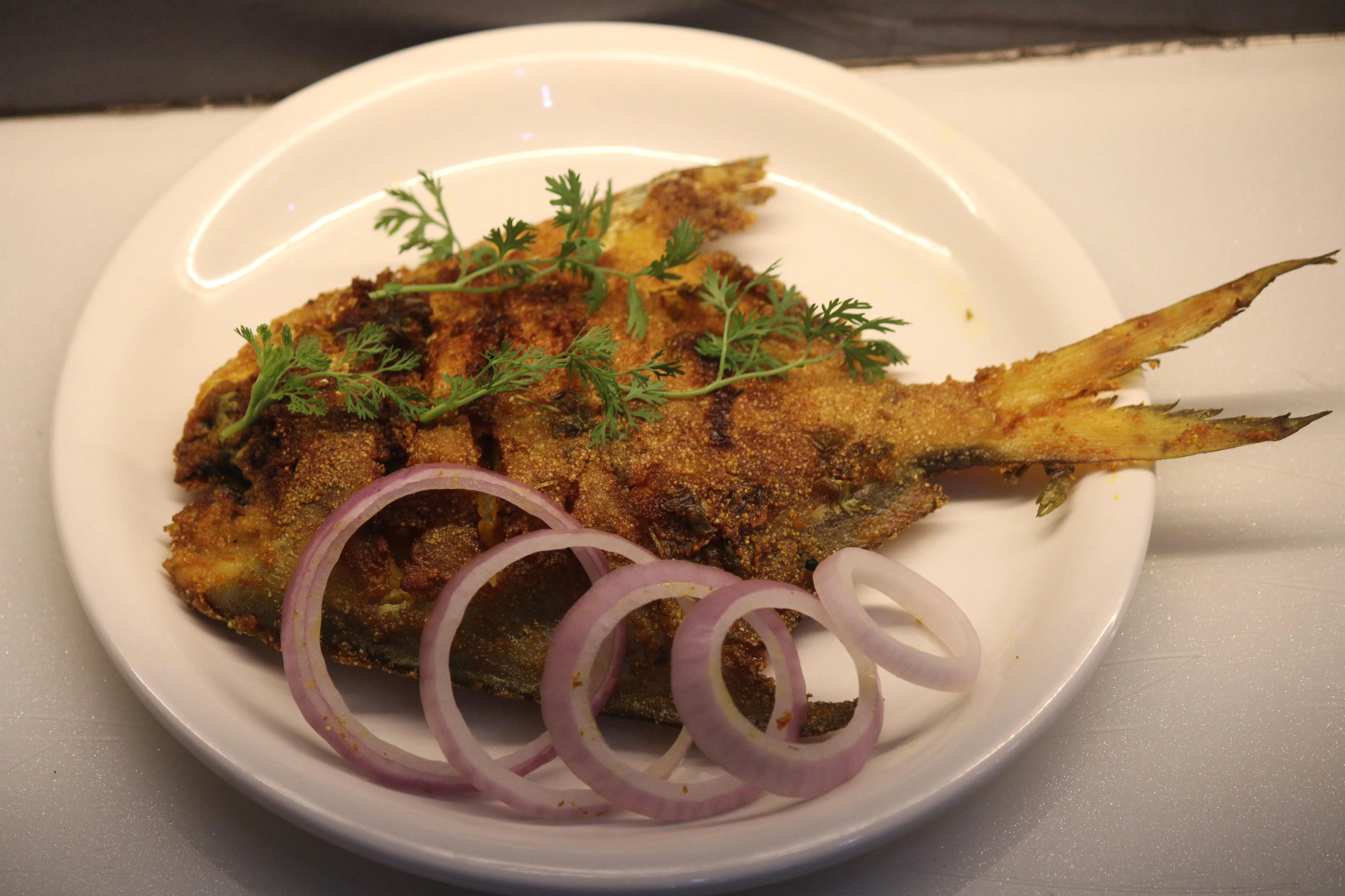 Pomfret Fry